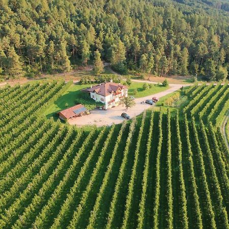 Agriturismo Maso Tafol Villa Cloz Exteriör bild