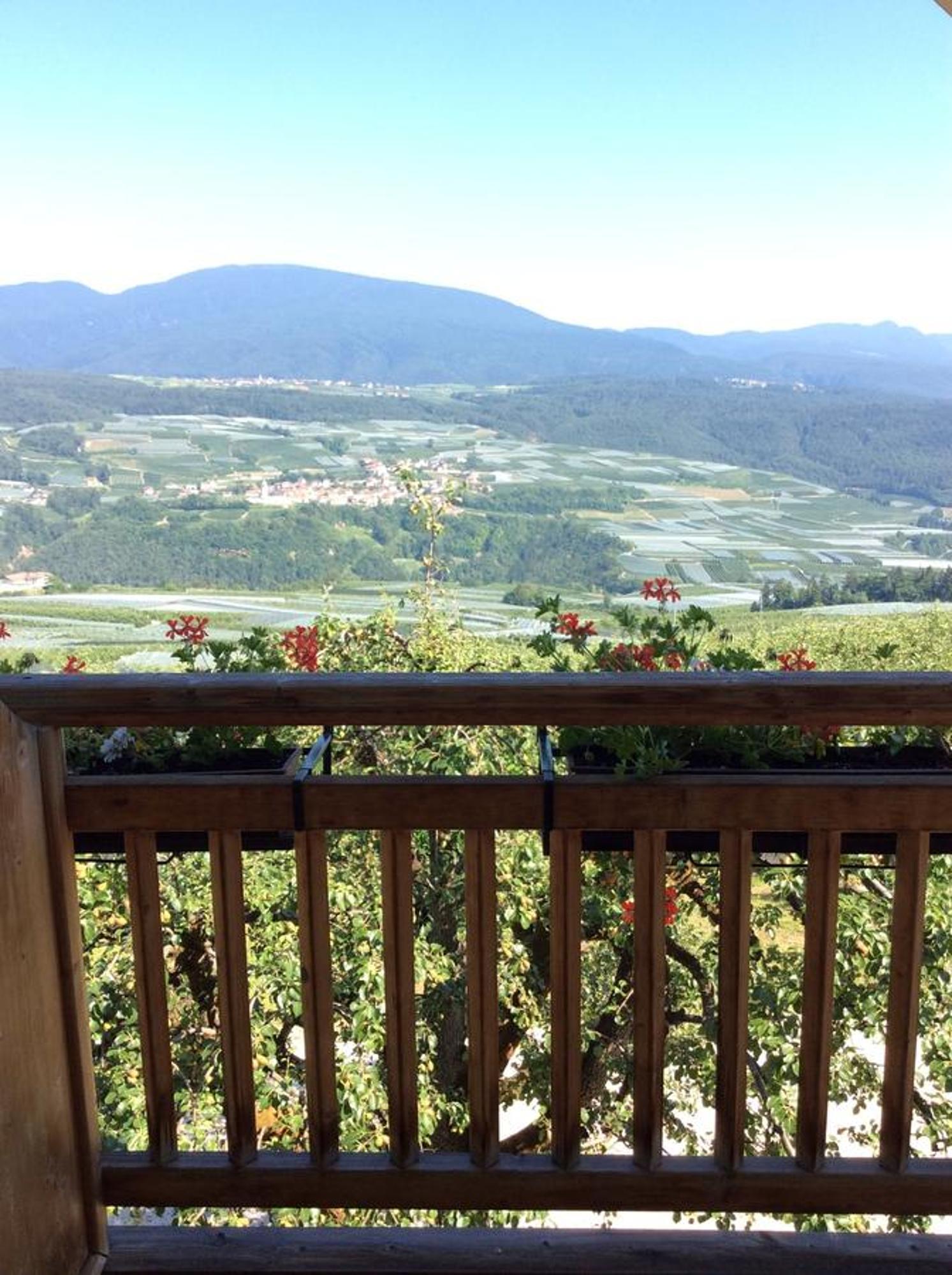 Agriturismo Maso Tafol Villa Cloz Rum bild