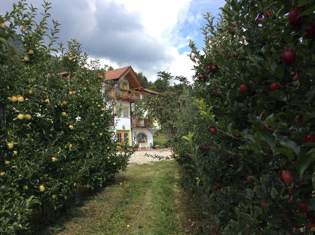 Agriturismo Maso Tafol Villa Cloz Exteriör bild
