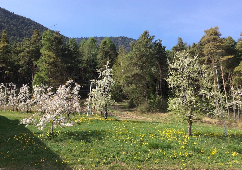 Agriturismo Maso Tafol Villa Cloz Exteriör bild